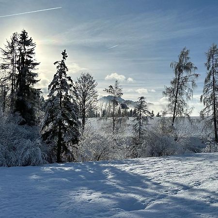 Bio-Holzhaus Und Landhaus Heimat رامساو أم داتشستين المظهر الخارجي الصورة