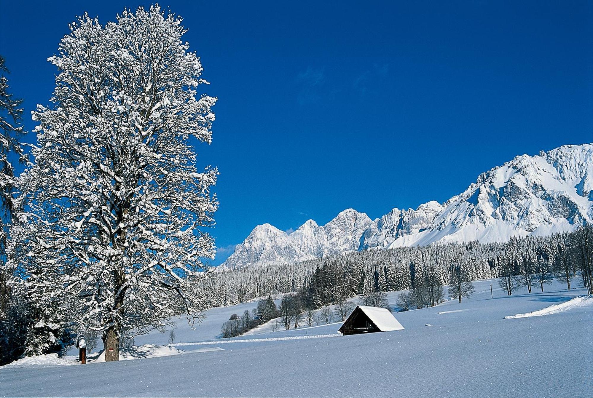 Bio-Holzhaus Und Landhaus Heimat رامساو أم داتشستين المظهر الخارجي الصورة
