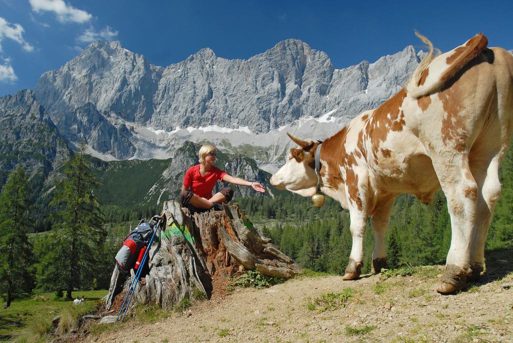 Bio-Holzhaus Und Landhaus Heimat رامساو أم داتشستين المظهر الخارجي الصورة